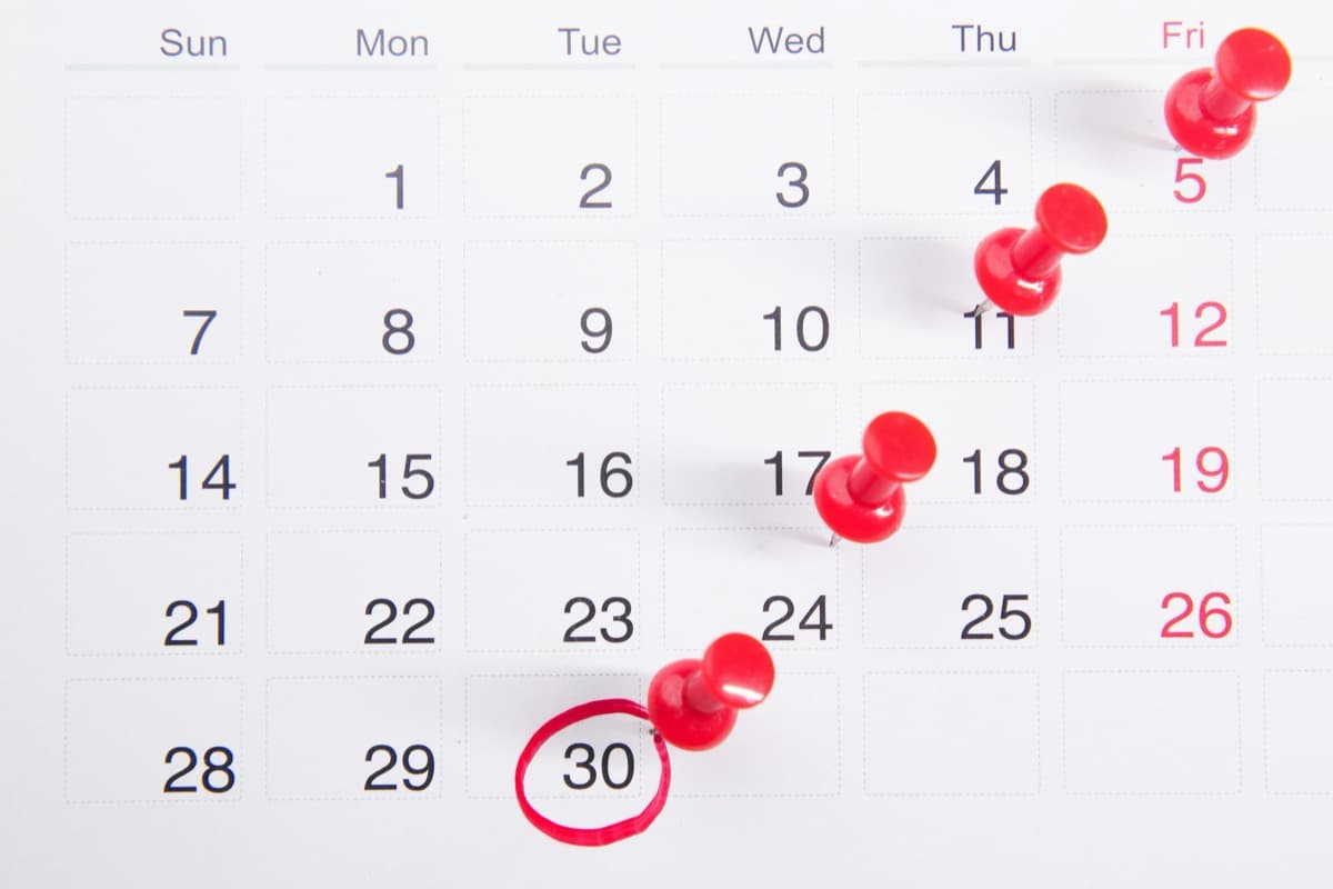 Rappels RDV automatiques : réduisez vos no-shows